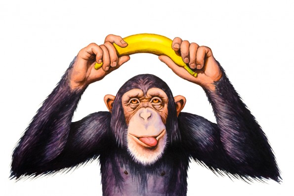 Chimpansee en banaan