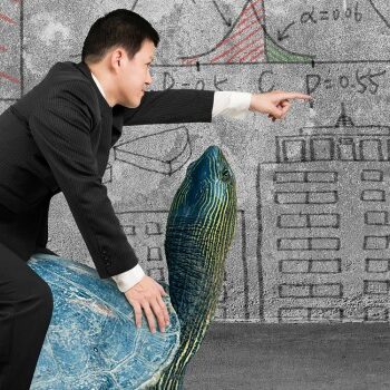 Zo laat je schildpadden dansen: 6 tips voor gedragsverandering