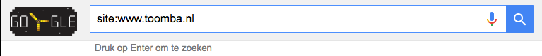 Google screenshot van zoekbalk.