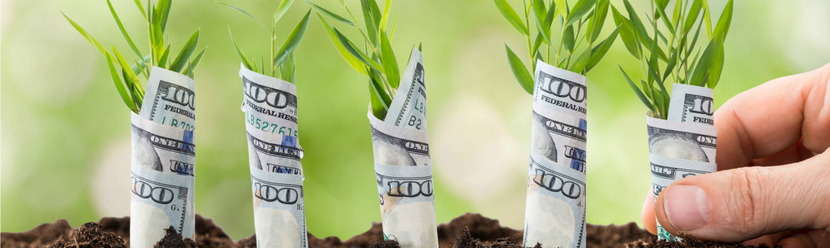 Snel groeien als startup? 4 lessen van Uber, Etsy & Airbnb