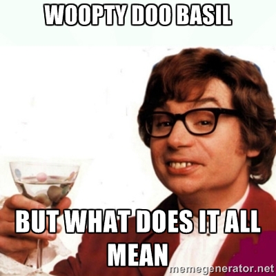 austin powers meme