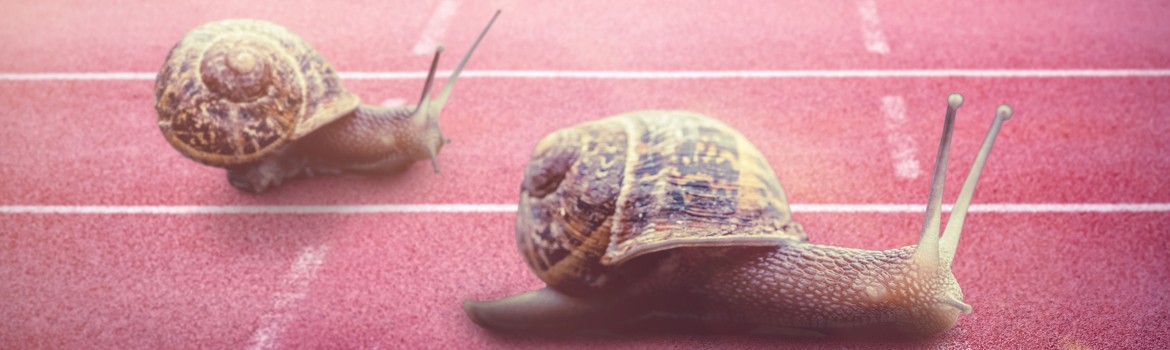 Slow ondernemen is als slow food: ontdek het geheim van succesvol zakendoen