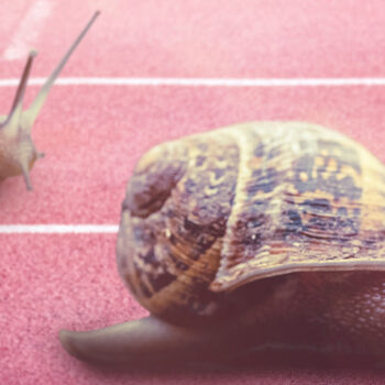 Slow ondernemen is als slow food: ontdek het geheim van succesvol zakendoen