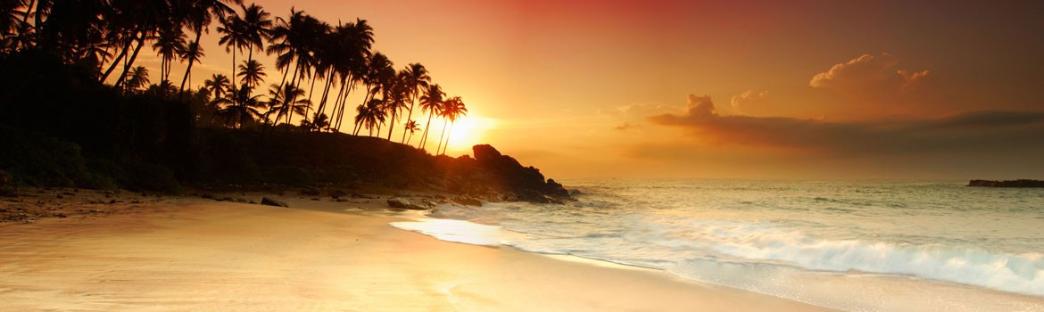Als digital nomad werken in Sri Lanka 🌴: wel of niet geschikt?