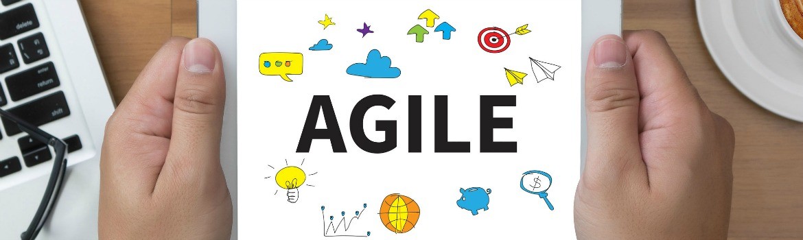 Think big, start small, act fast: 12 lessen voor een agile strategie