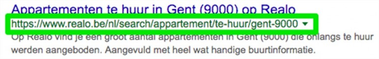 page-url-voorbeeld-realo