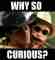 why so curious meme