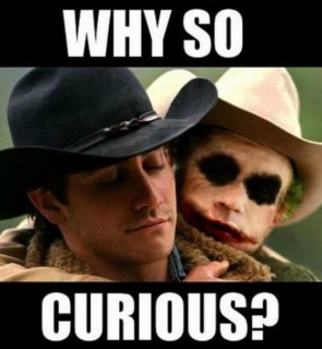 why so curious meme