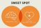 Sweet Spot Joe Pulizzi