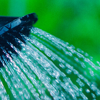 Lead nurturing: in 5 stappen je klanten binnenhalen & behouden