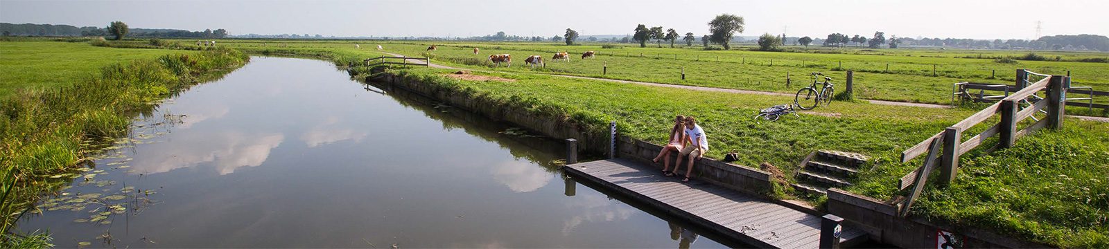 Waarom Forum Gelderland wél slaagt in co-creatie met burgers [case]
