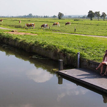 Waarom Forum Gelderland wél slaagt in co-creatie met burgers [case]