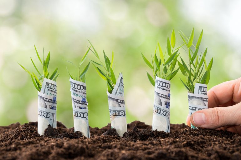 startup-plantjes