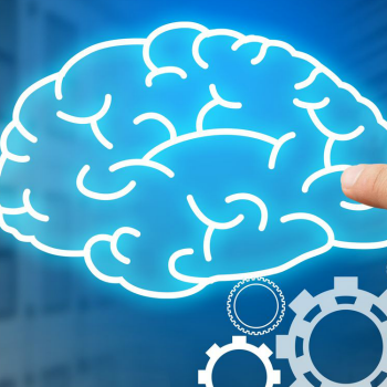 Het waarom achter gedrag: psychologie is cruciaal in CRO