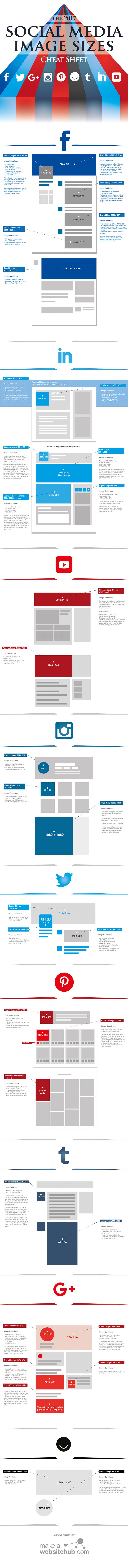 social media infographic formaten