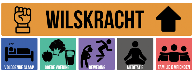 05-wilskracht-visual