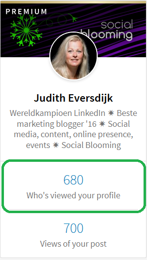 LinkedIn-profiel bekeken