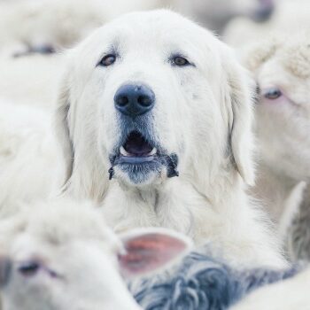 Diversiteit in je organisatie: 4 gedachten voor betere samenwerkingen