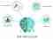 growth hacking brein klein