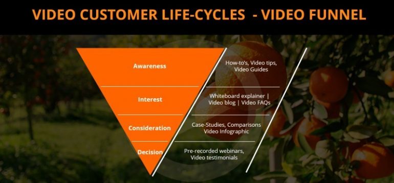 video customer life cycle
