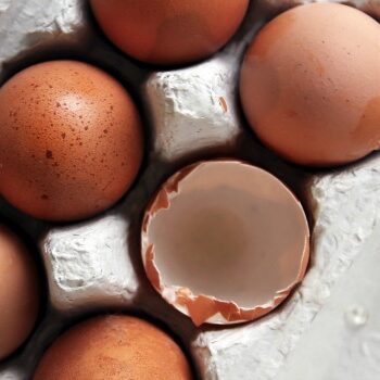 Monitoring: een landelijke crisis in beeld [fipronil case study]