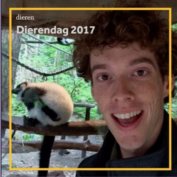 Het geheim achter het succes van NOS Kort