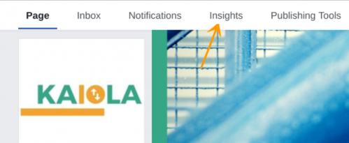 insights tab facebook