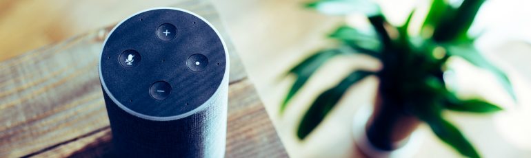 smart speaker