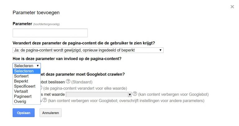 Search Console URL Parameters