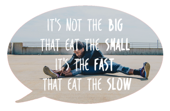 Brenda van den Berg - Blog - Its not the big that eat the small