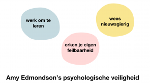 Amy Edmondson's psychologische veiligheid