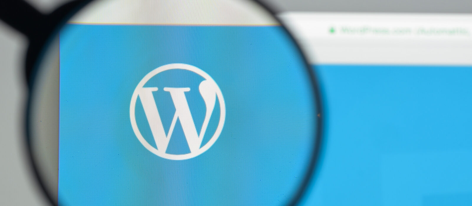 Gebruik je de Yoast SEO plug-in voor WordPress? Fix de bug!