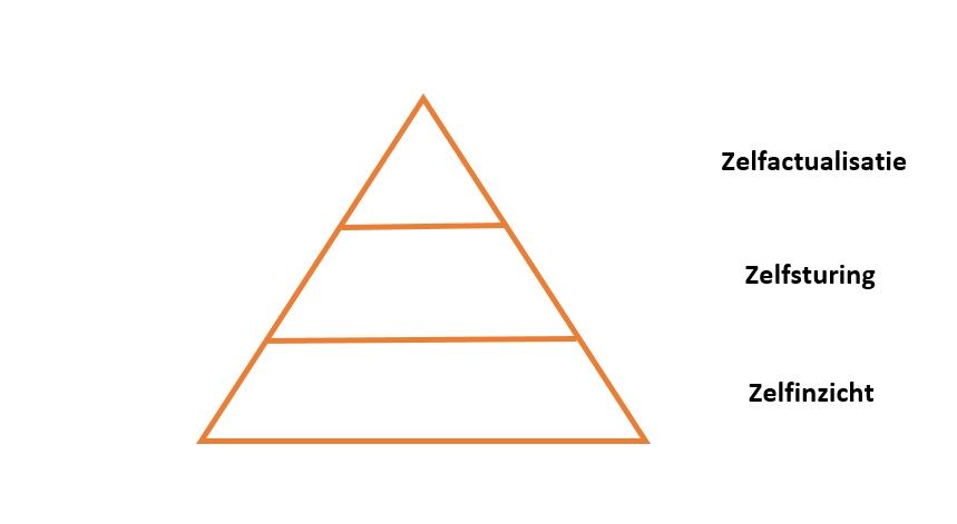 Purpose alignment pyramide zelfactualisatie de impact van innovatie de impact van technologie