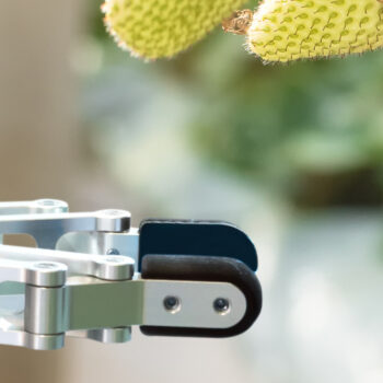 IoT: neem een voorbeeld aan de landbouw
