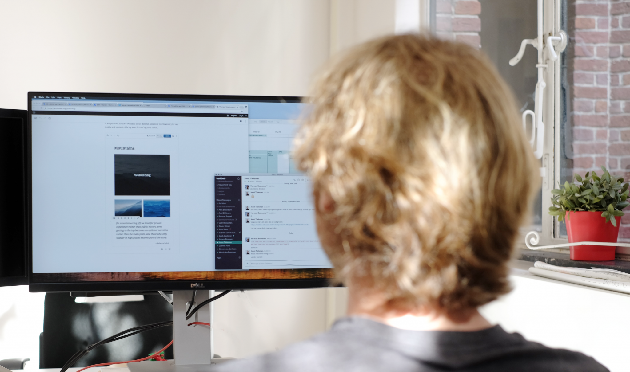 Herman Boomsma, Sr. Developer Redkiwi