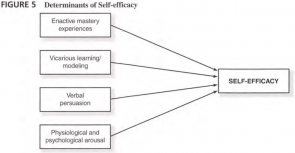 Self-efficacy