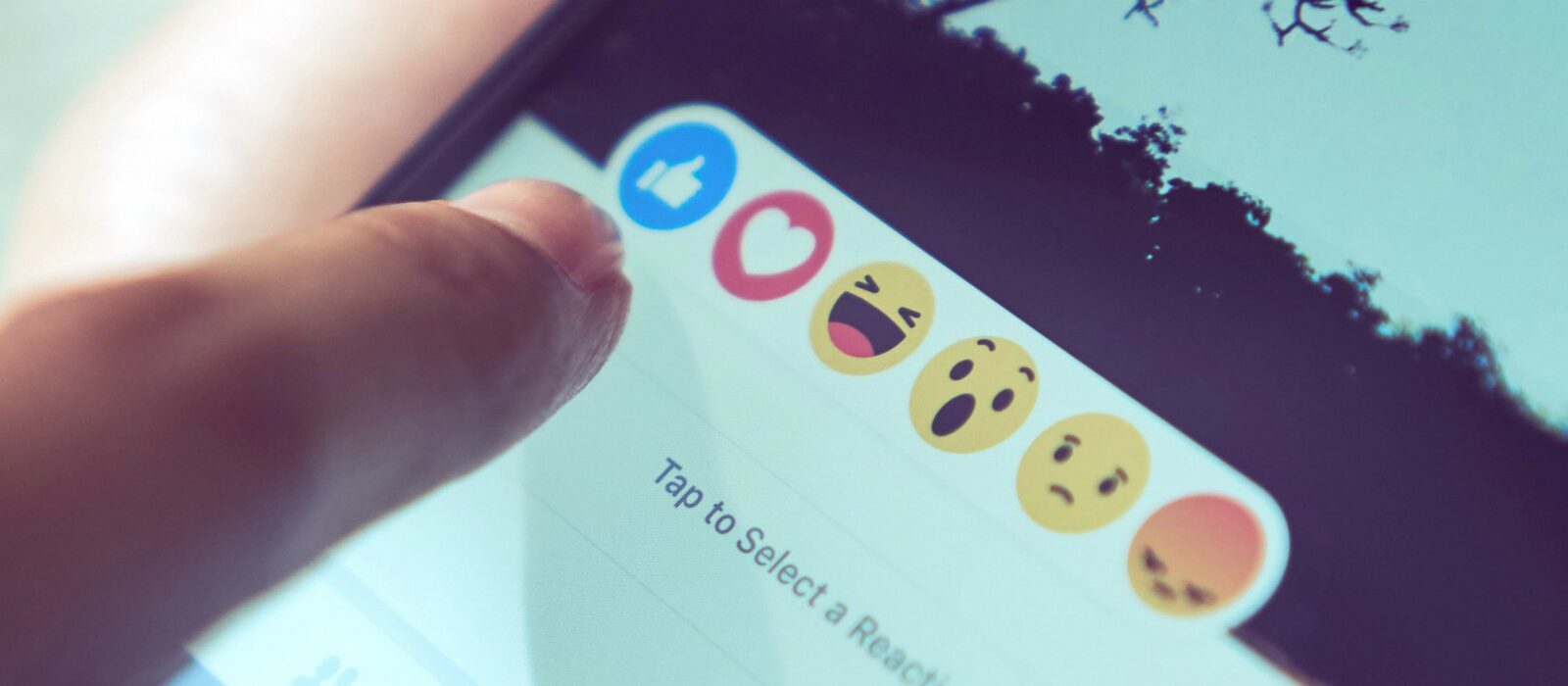 Facebookcampagnes: nieuwe Nederlandse benchmarks