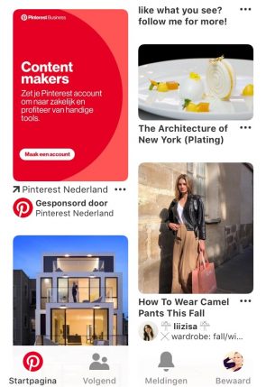 Een gesponsorde pin van Pinterest Nederland