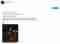 Chatbot Rembrandt
