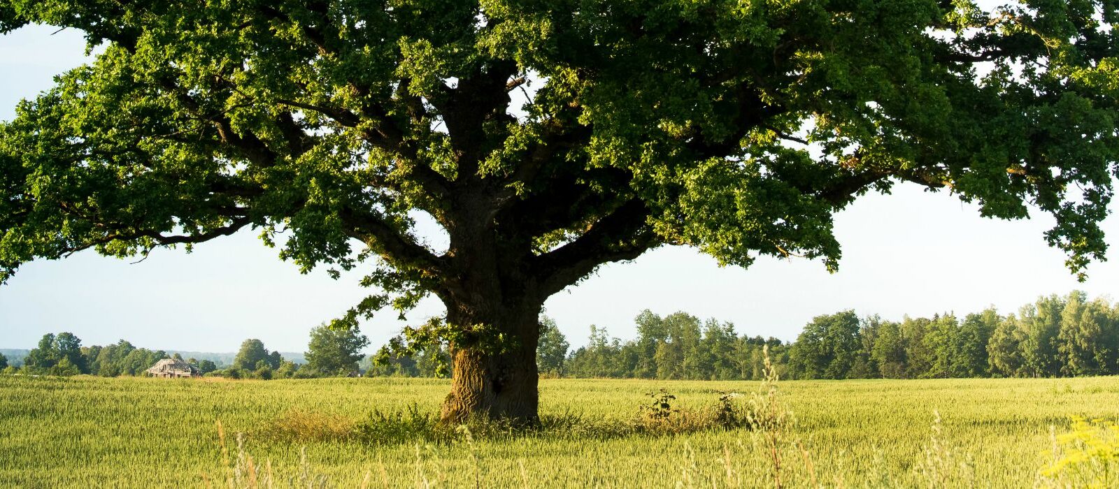 Een slechte taxonomie kost je klanten [5 tips]