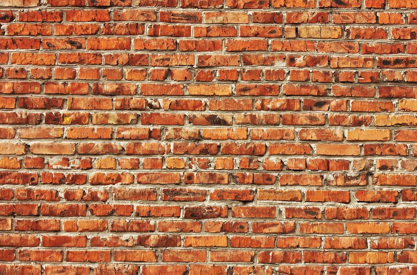 Cookiewalls verbieden te voorbarig?