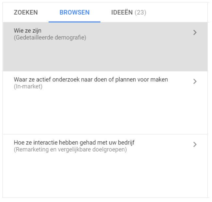 Schreenshot van doelgroeptargeting in Google Ads.