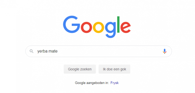 SEO-case screenshot google search.
