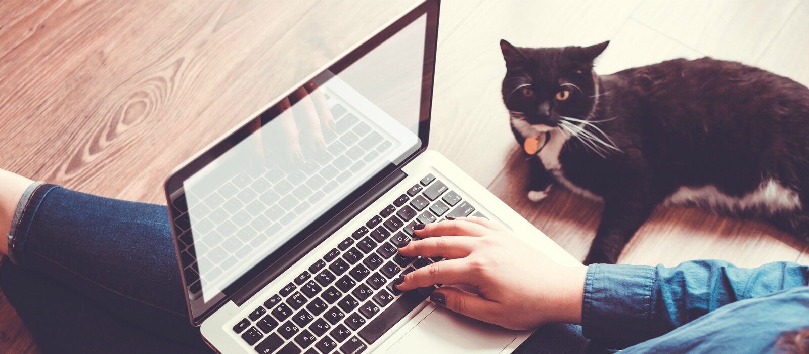 In 10 stappen zelf een succesvolle website opzetten