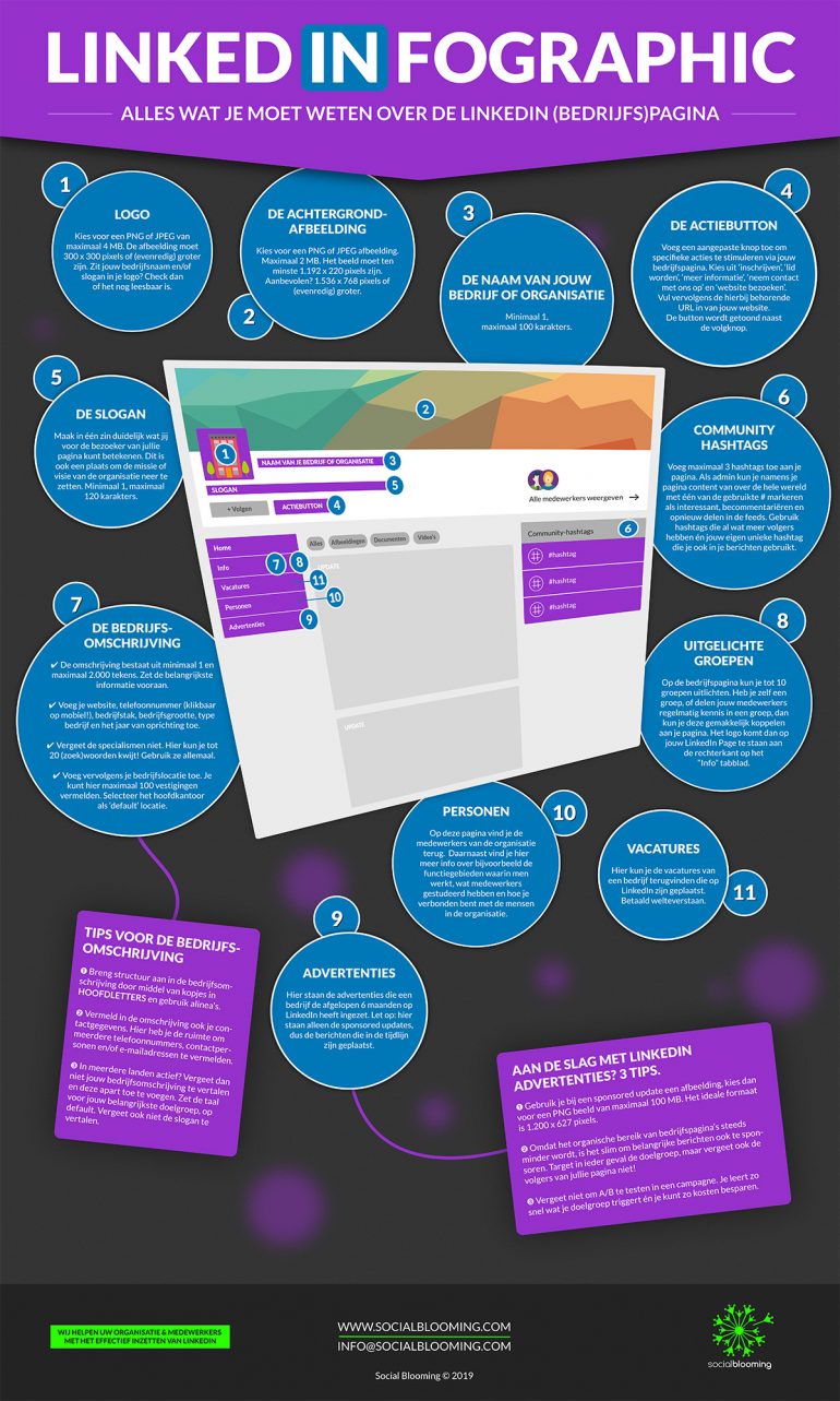 LinkedInfographic 2019