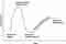Gartner Hype Cycle