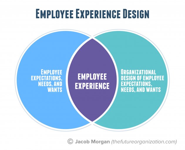 Employee experience design