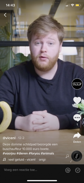 Screenshot van Vice.