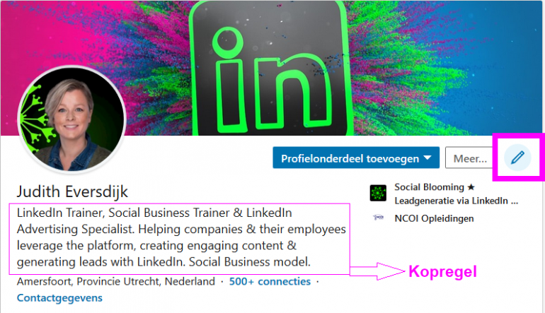 Kopregel van LinkedIn-profiel