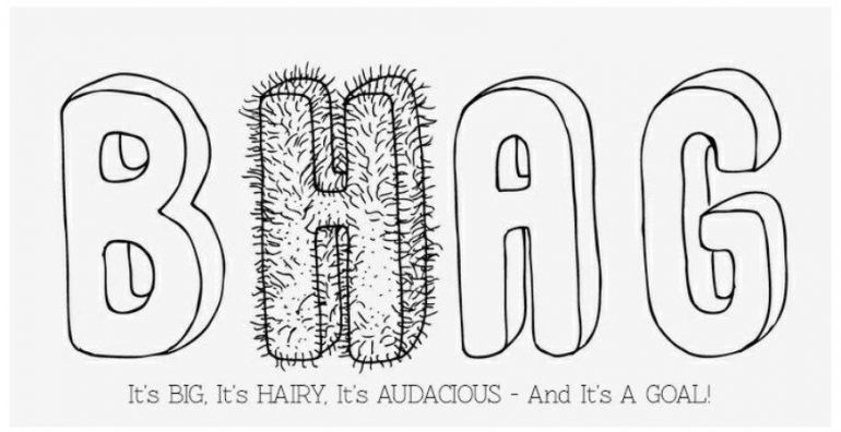 Schets van big hairy audactious goals.